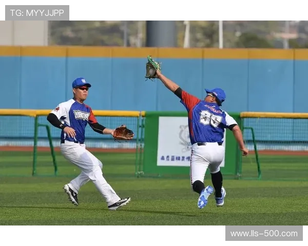 中国垒球装备出口额2024年达1.32亿美元，同比增长18.6%